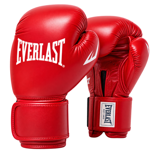 bg Pro Leather Hook and Loop Training Boxing Gloves